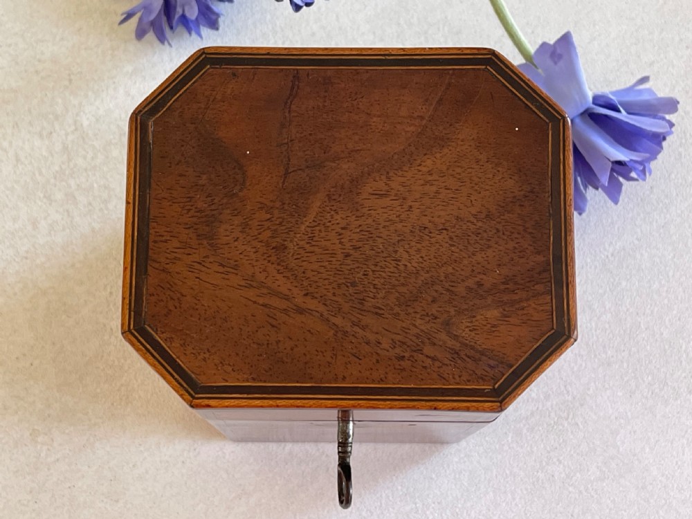 A Small Georgian Mahogany Tea Caddy View IV