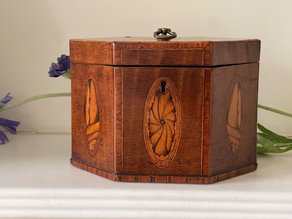 A Georgian Hexagonal Tea Caddy