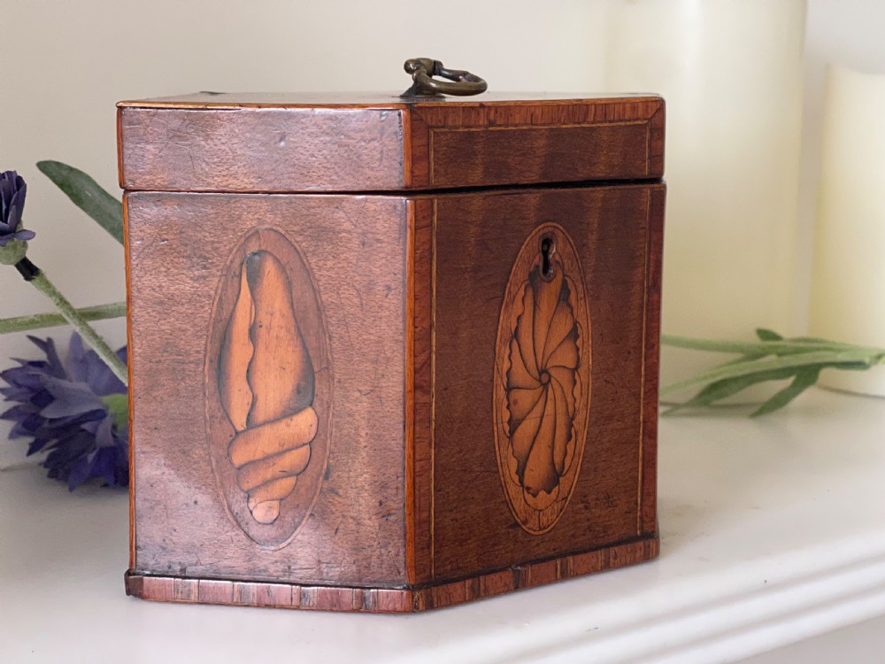 A Georgian Hexagonal Tea Caddy View V