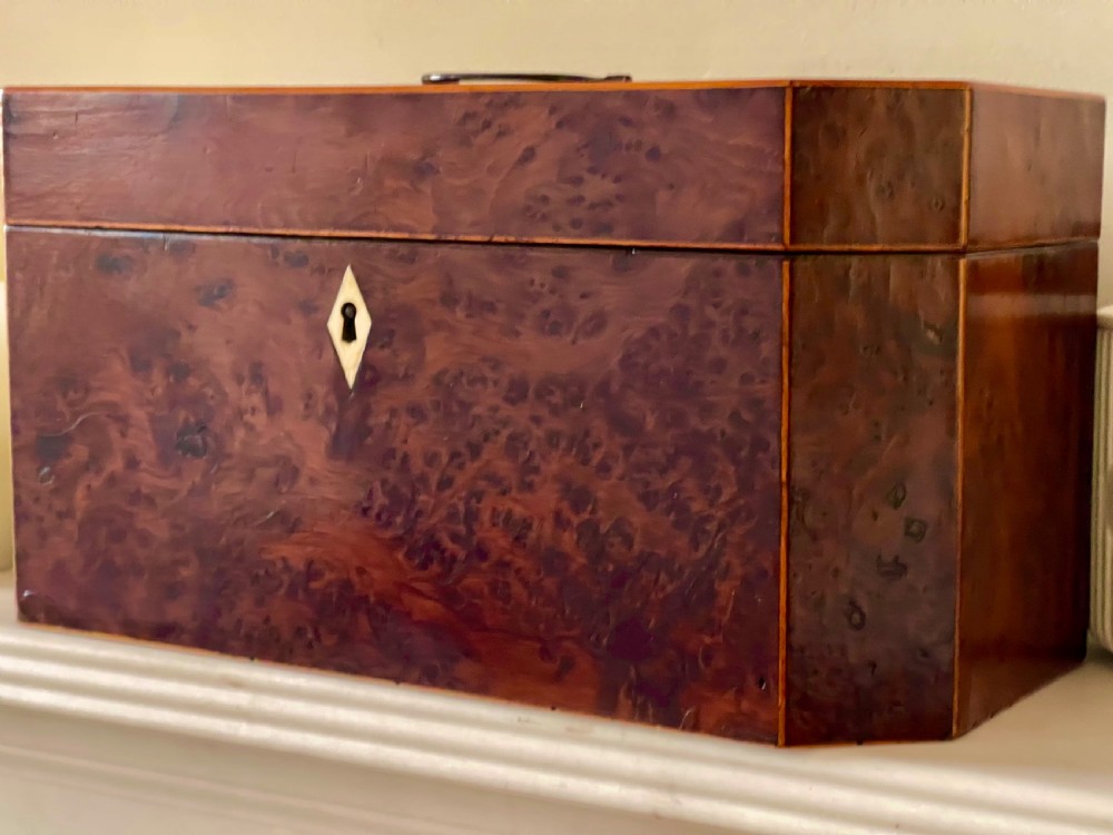 A Large Antique Georgian Yew Wood Tea Caddy