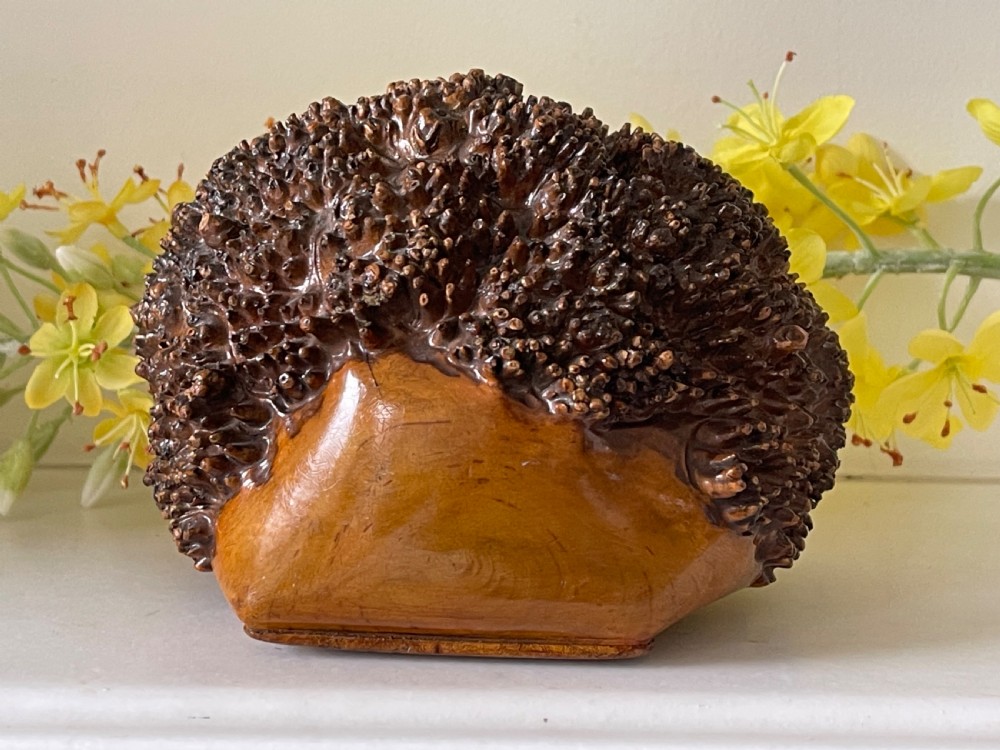 A n Impressive Large Antique  Table Burr Snuff Box