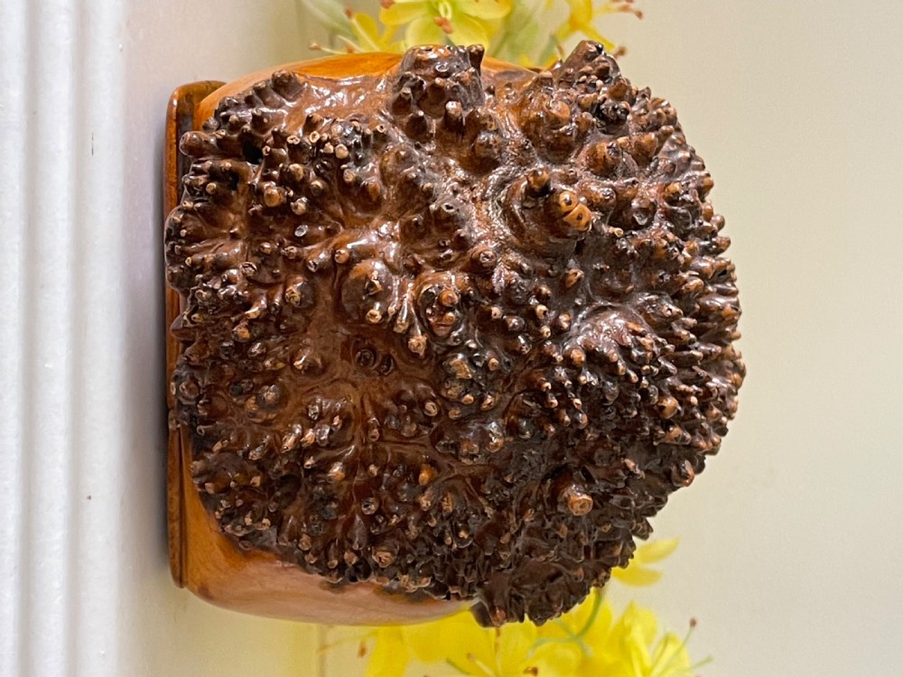 A n Impressive Large Antique  Table Burr Snuff Box View V