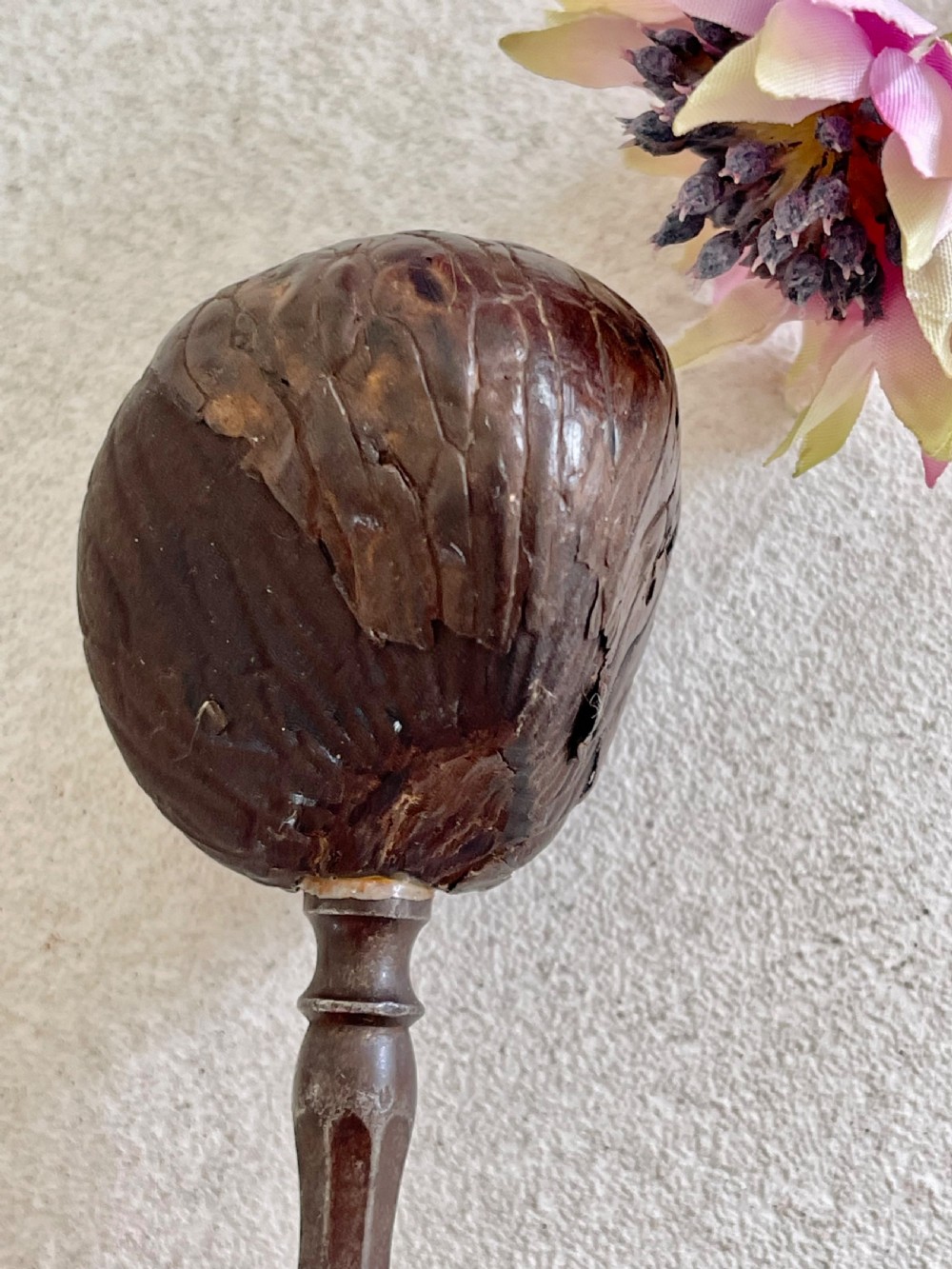 An Unusual Coquilla Figural Headed  Button Hook View III