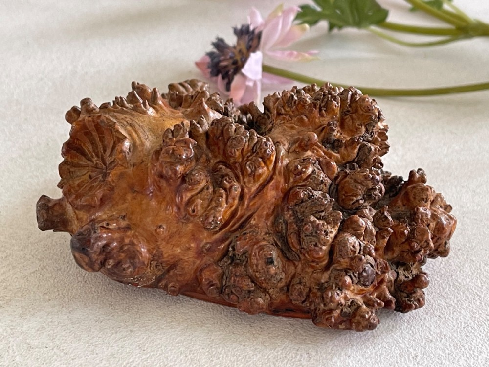 An Antique Treen Burr Root Table Snuff Box - makers name