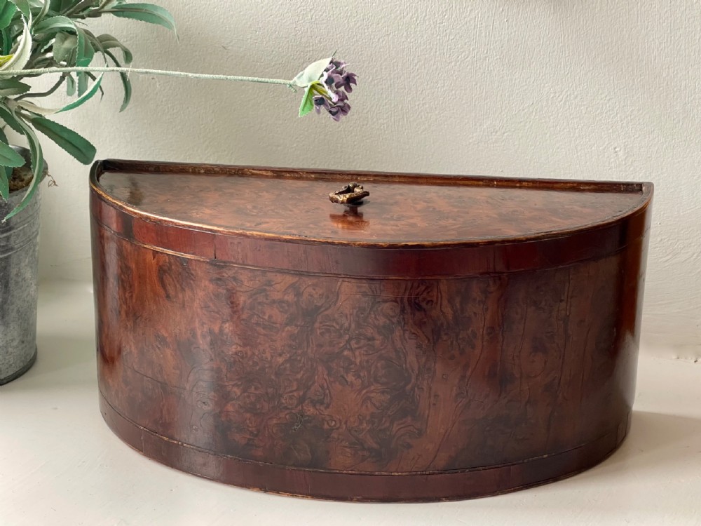 A Georgian semi-circular wooden box featuring highly figured burr wood veneer and a top brass finial. View VI