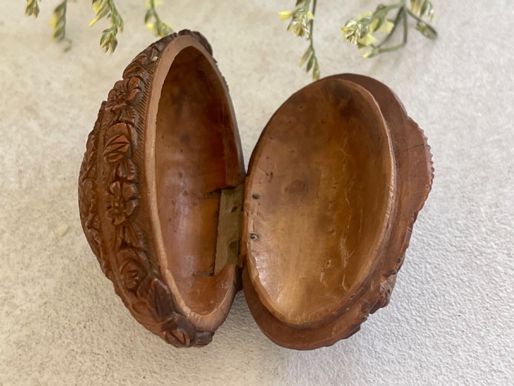 Antique Coquilla Nut Snuff Box - gardening tools View V