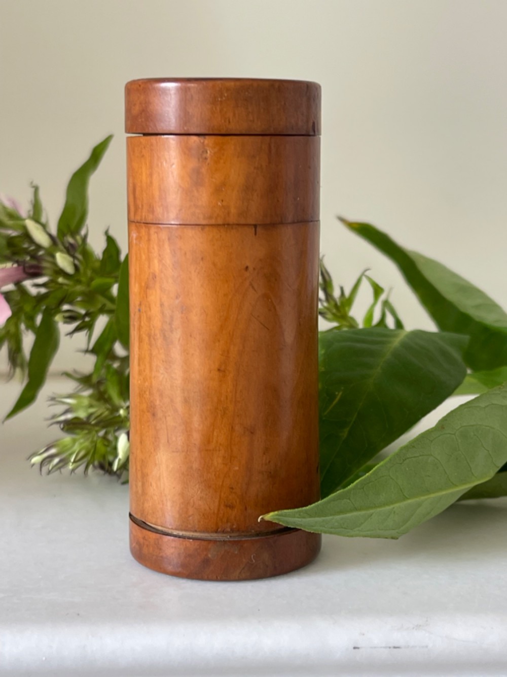 Antique Treen Viewing/Glass Box- for travelling View II