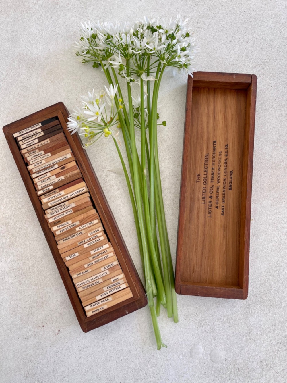 An open rectangular wooden presentation box containing labelled timber sample slats from an early twentieth century London wood merchant.