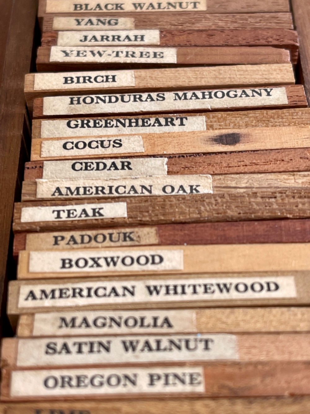 An open rectangular wooden presentation box containing labelled timber sample slats from an early twentieth century London wood merchant. View II