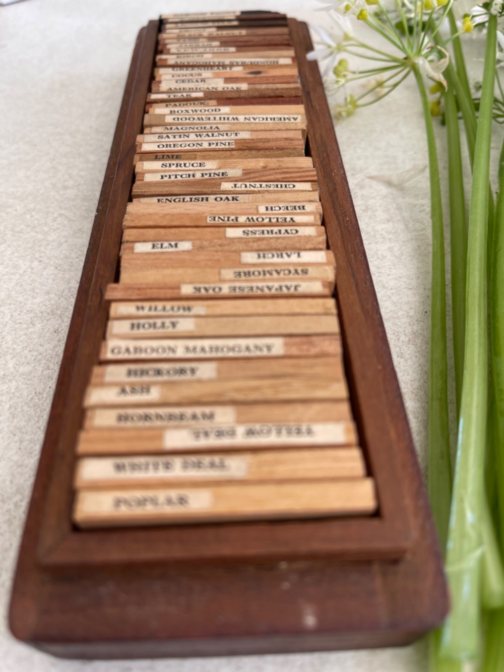 An open rectangular wooden presentation box containing labelled timber sample slats from an early twentieth century London wood merchant. View III