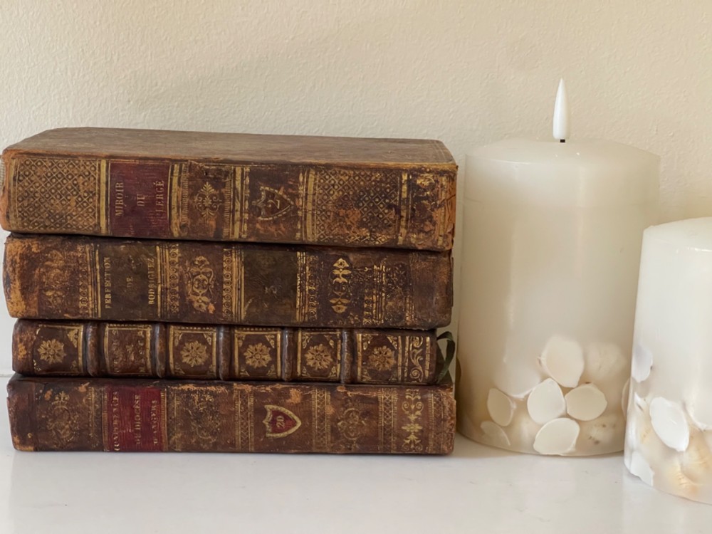 An antique novelty box crafted to resemble four French leather-bound book spines with gilt detailing and embossed text. View IV