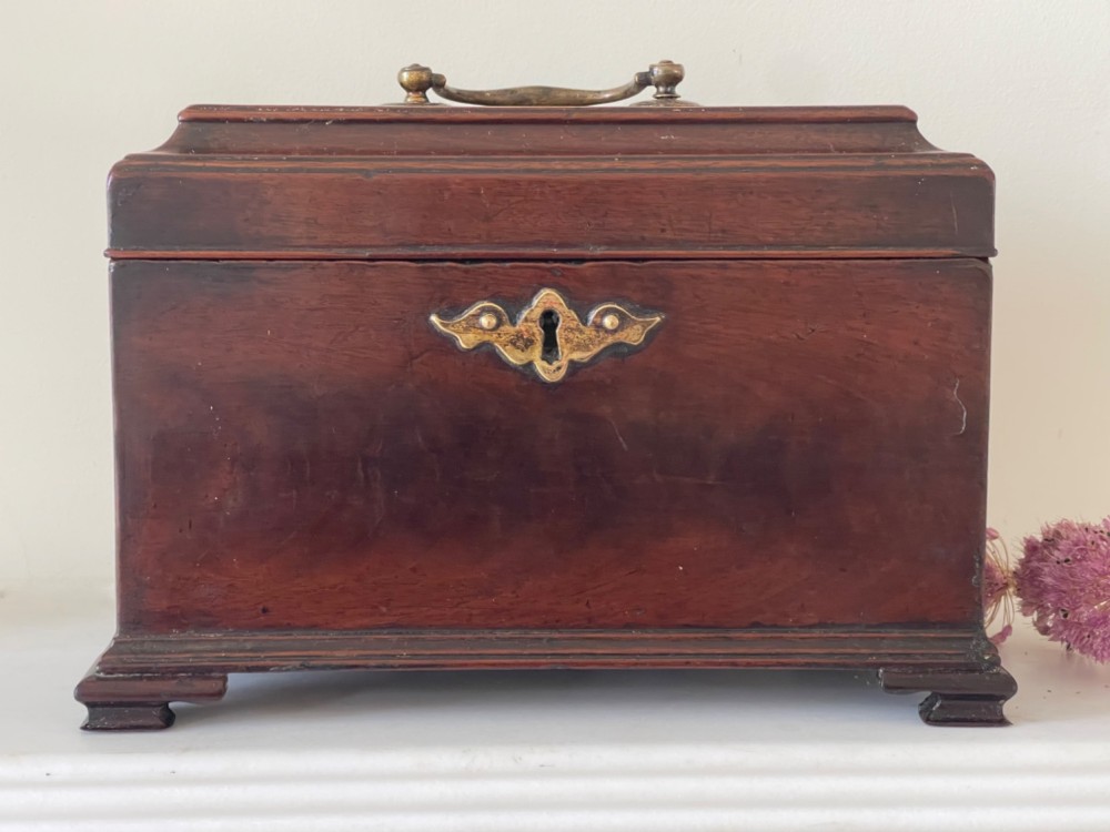 A Georgian dark mahogany tea chest with a stepped lid, brass top handle, ornamental brass escutcheon, and bracket feet.