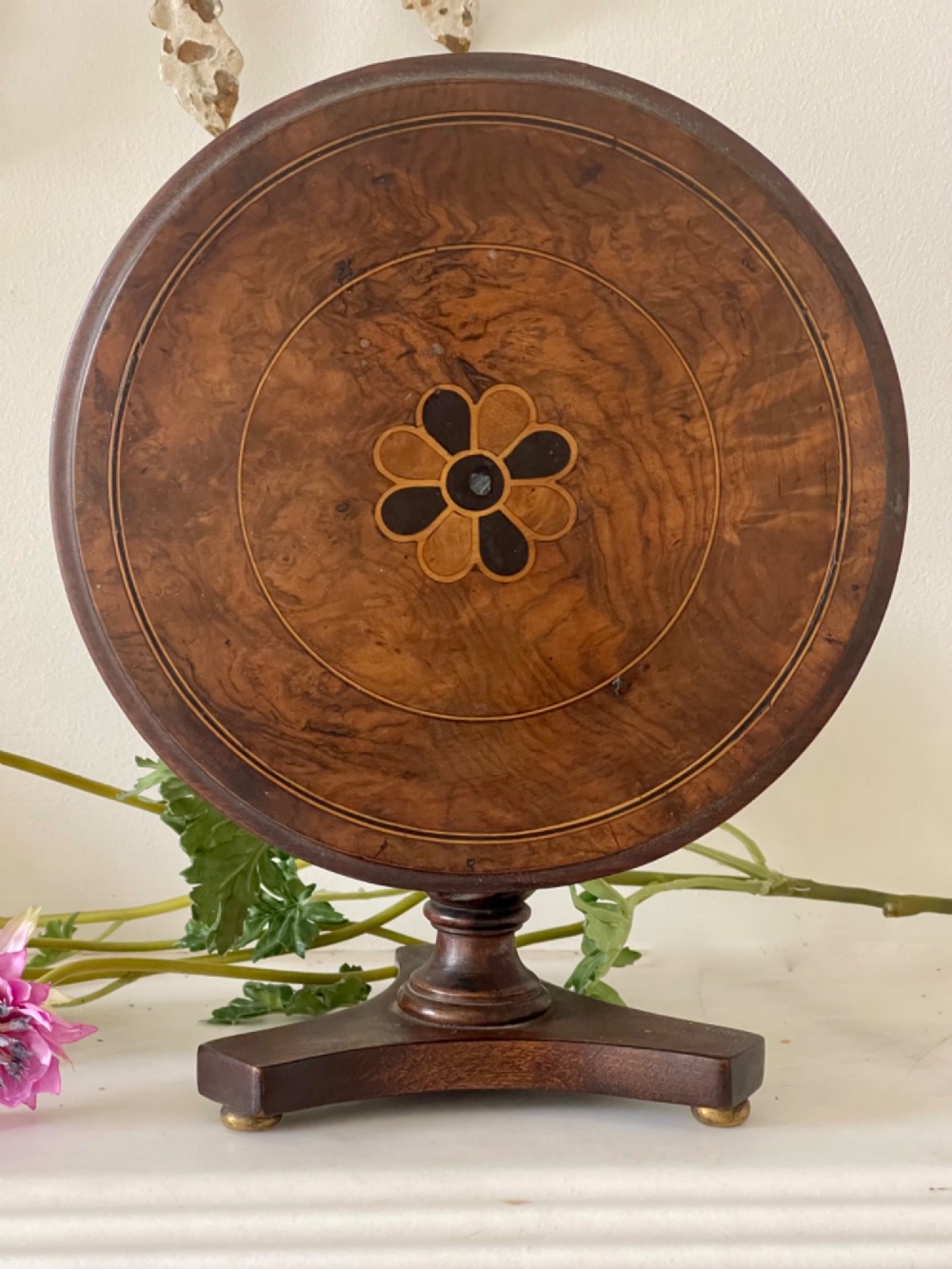 An antique circular tilt-top table featuring burr walnut veneer with a central floral marquetry inlay on a turned pedestal and triform base.