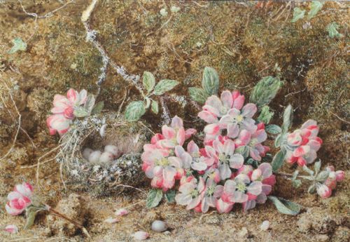 Still Life Watercolour by William Hough (1819 - 1897)