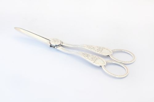 Quality Victorian Silver Grape Scissors in Original Case