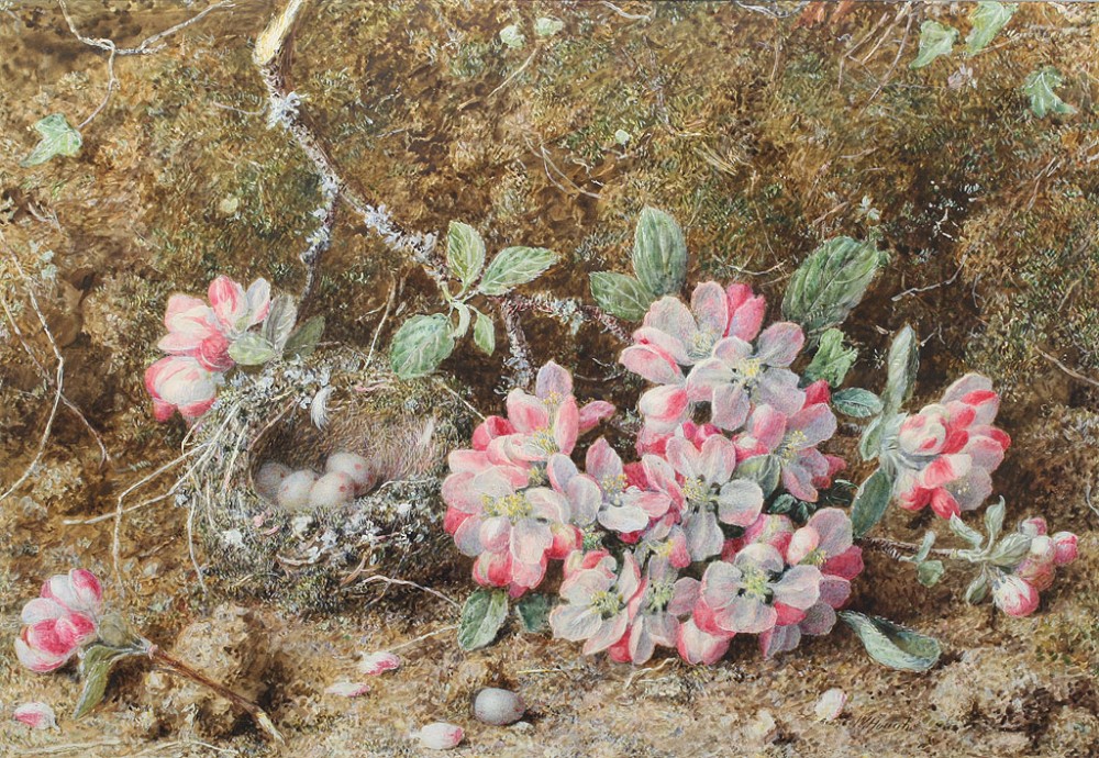 Still Life Watercolour by William Hough (1819 - 1897)