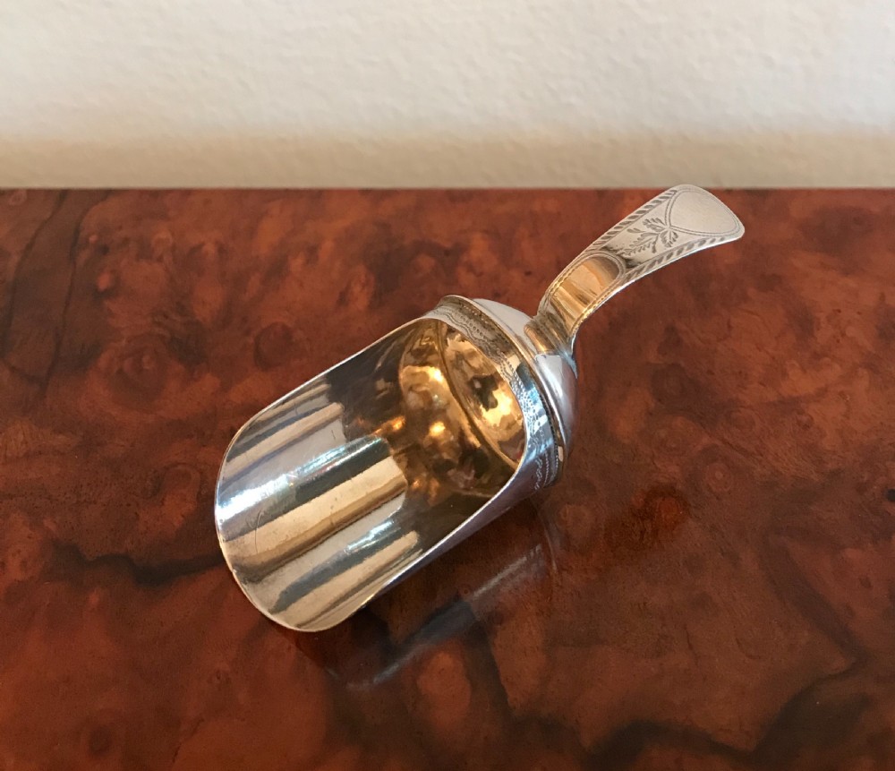 George III Silver Caddy Spoon