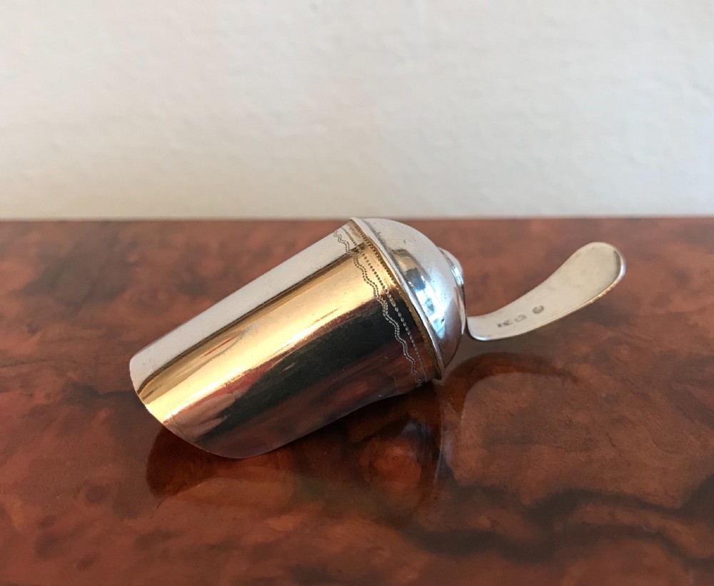 George III Silver Caddy Spoon View III