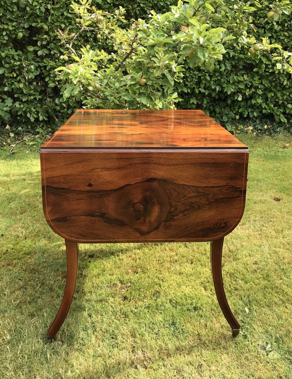 Regency Rosewood Sofa Table View III