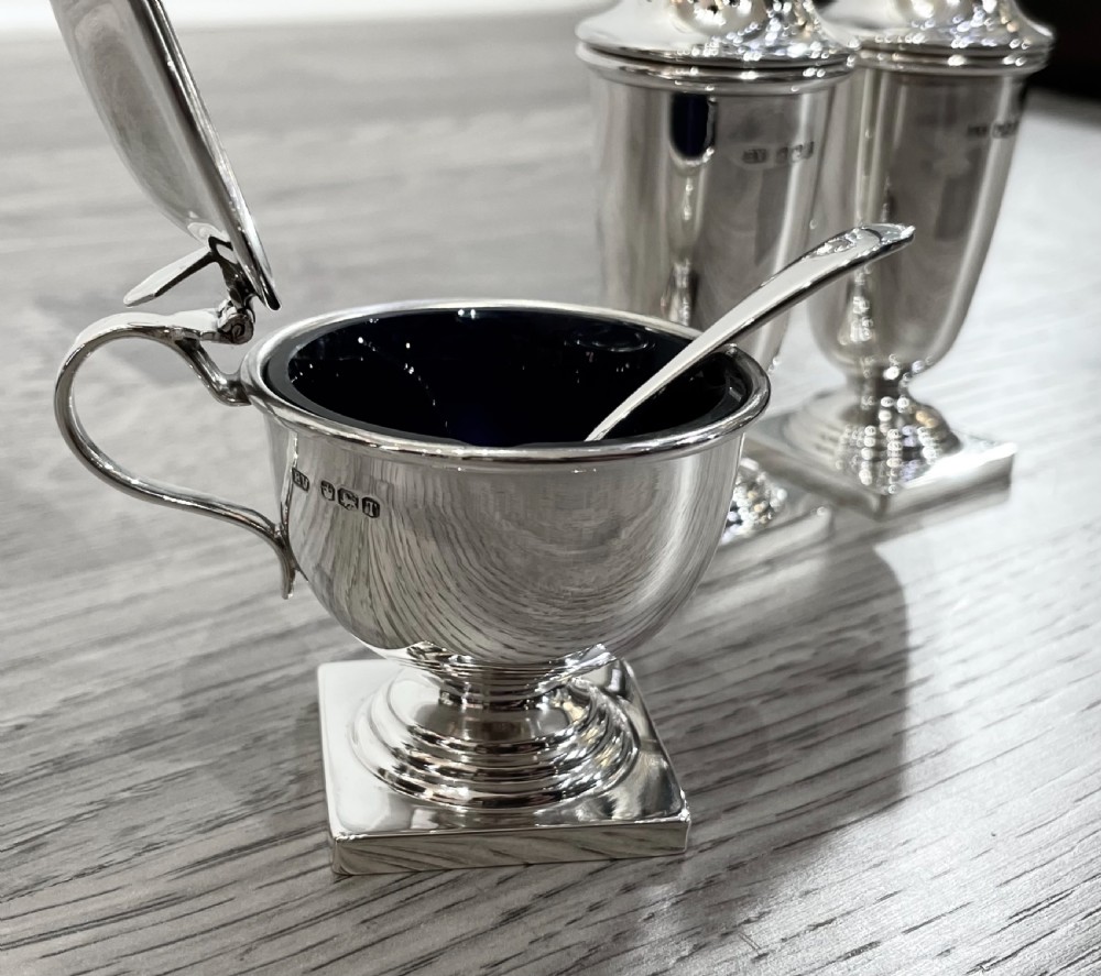 Elizabeth II Solid Silver Three Piece Cruet Set, cased. View VIII