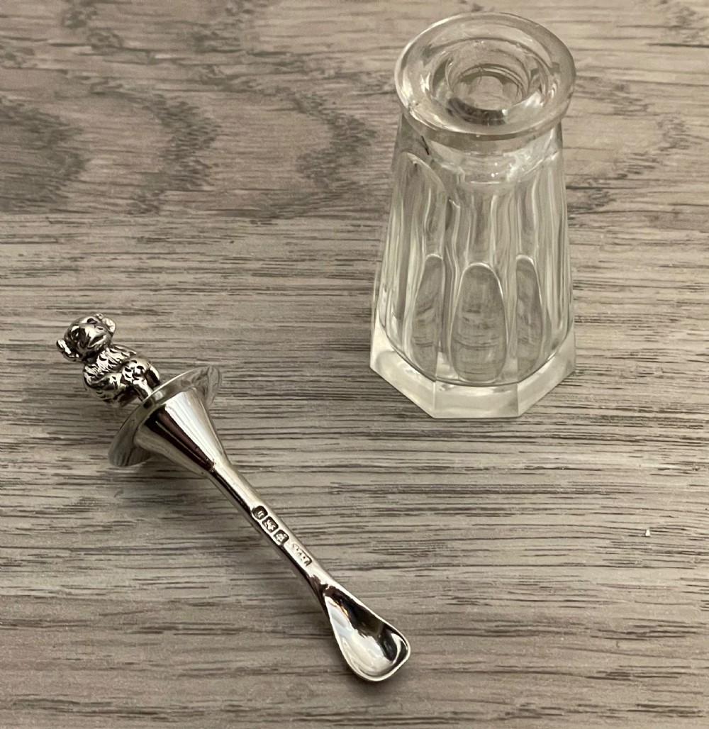 Late Victorian Silver Cayenne Pepper Bottle & Spoon, 1900 View III