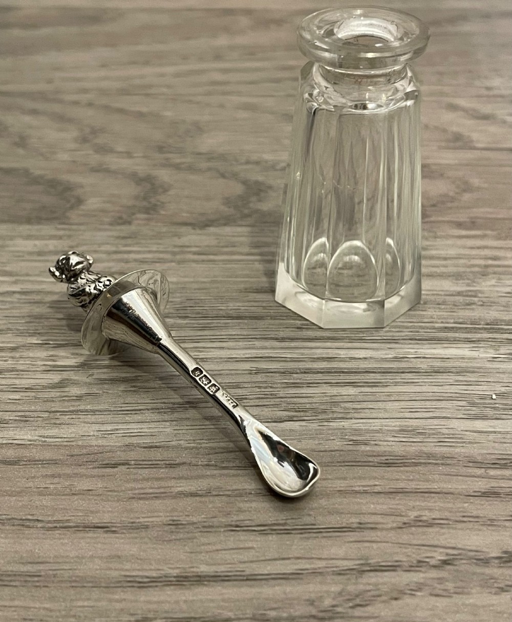Late Victorian Silver Cayenne Pepper Bottle & Spoon, 1900 View V