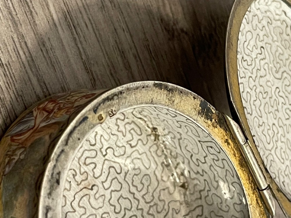 Austrian Vienna Enamel Snuff Box View VIII