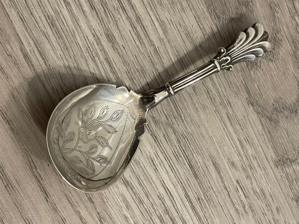 William IV Silver Caddy Spoon by George Unite  View V