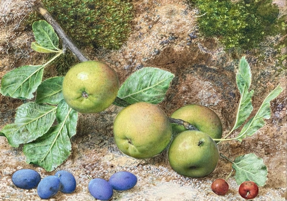 Original Still Life Watercolour by John Sherrin (1819 - 1896)