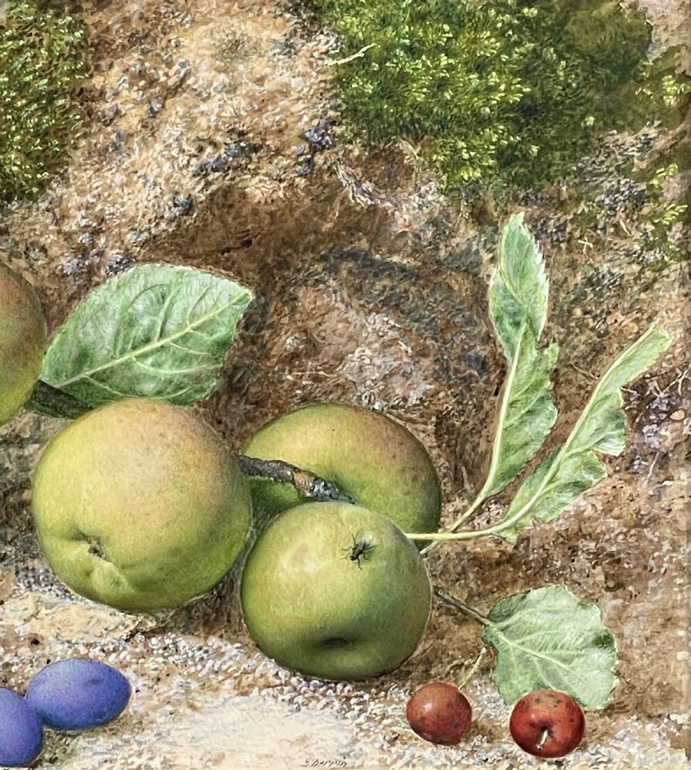 Original Still Life Watercolour by John Sherrin (1819 - 1896) View II