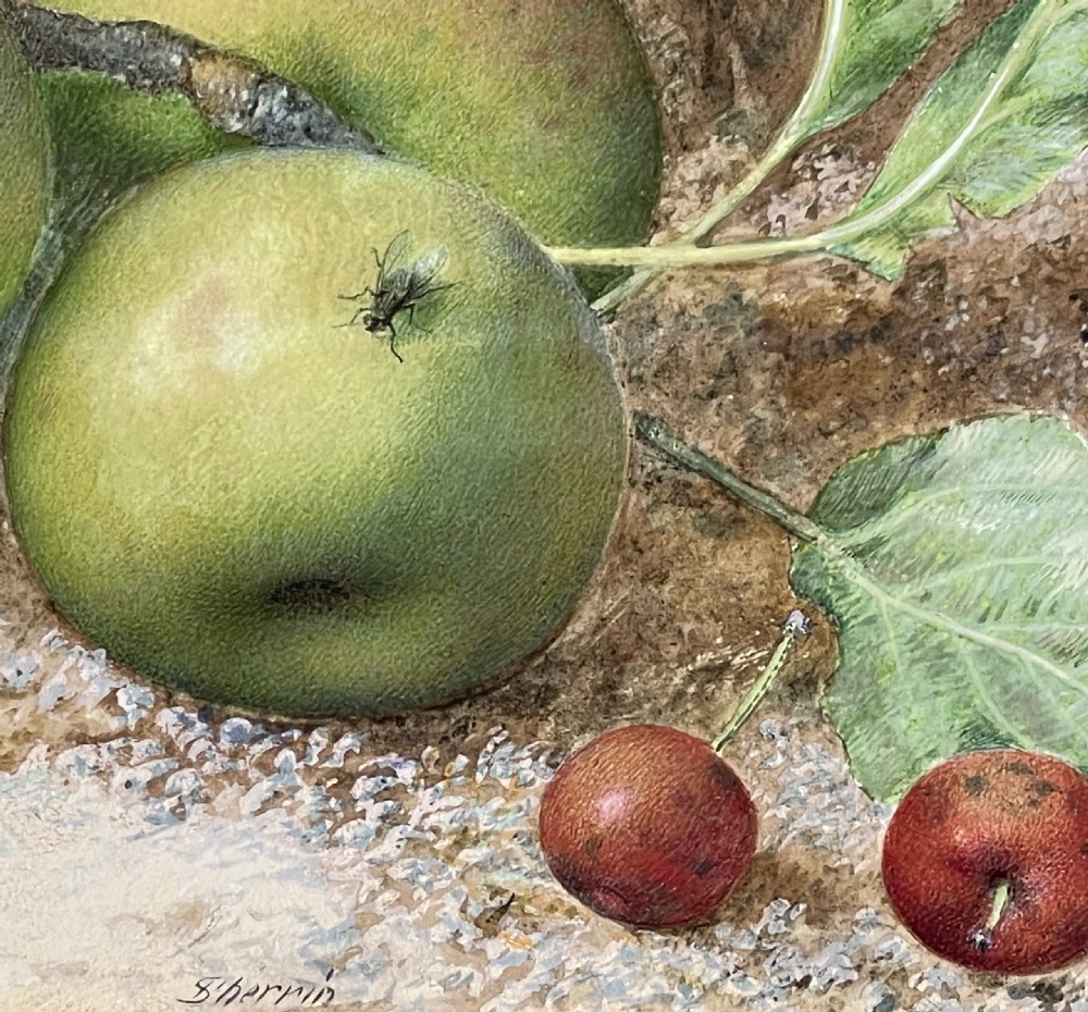 Original Still Life Watercolour by John Sherrin (1819 - 1896) View III
