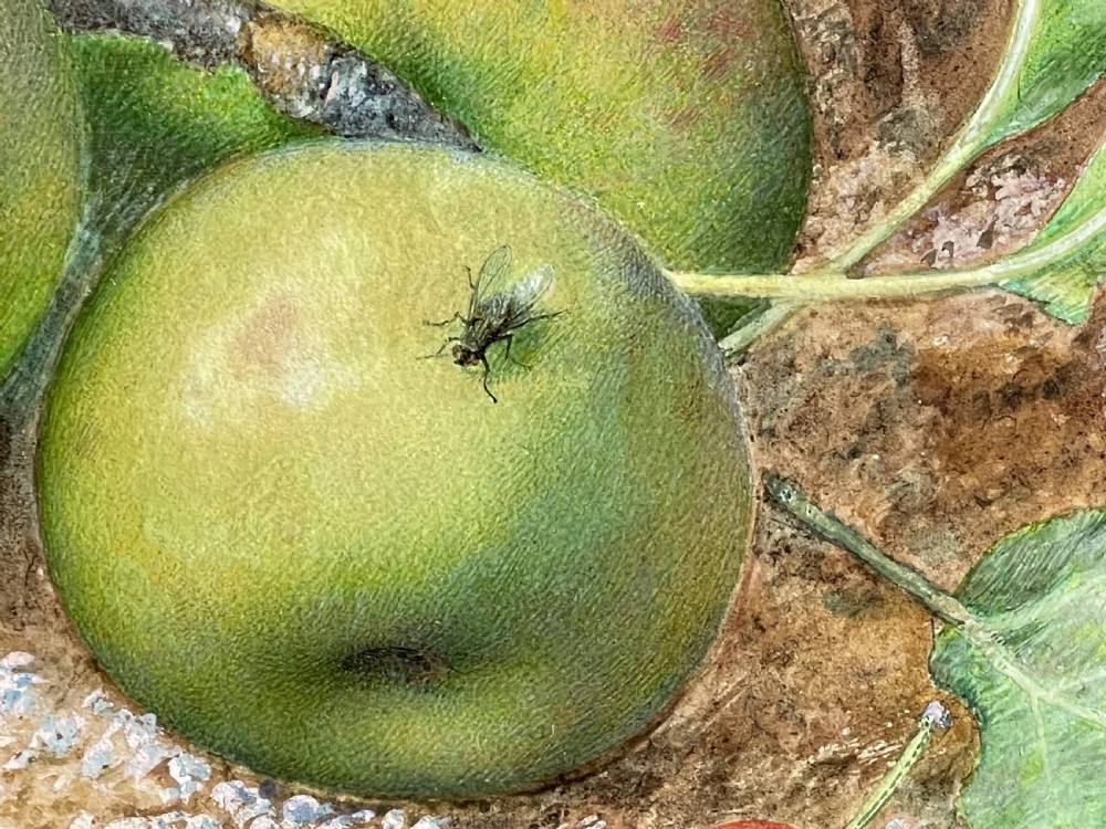 Original Still Life Watercolour by John Sherrin (1819 - 1896) View IV