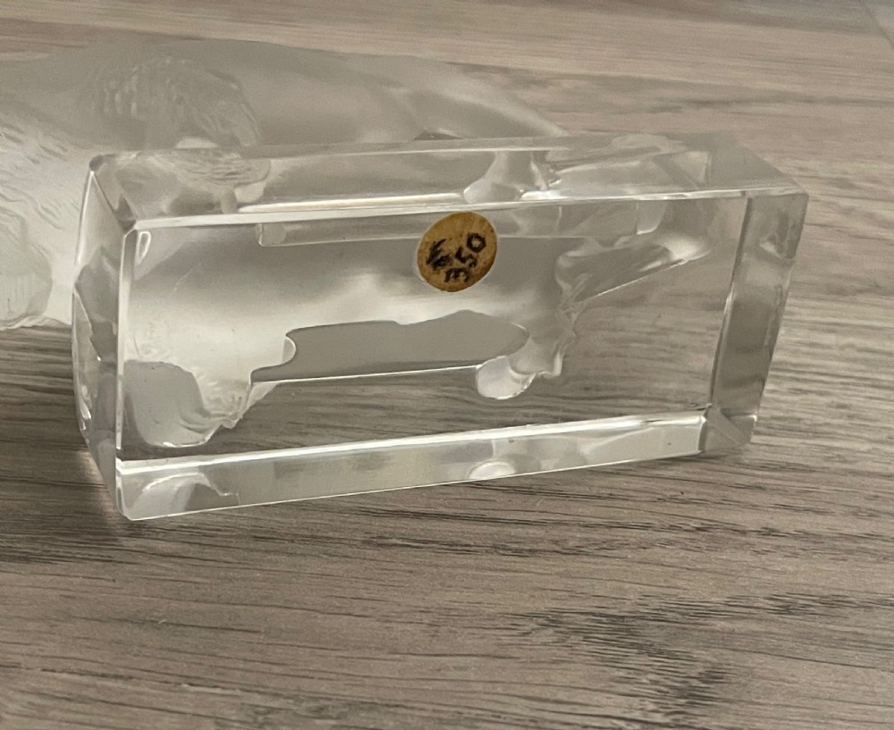 Rene Lalique Glass Bison Paperweight View III