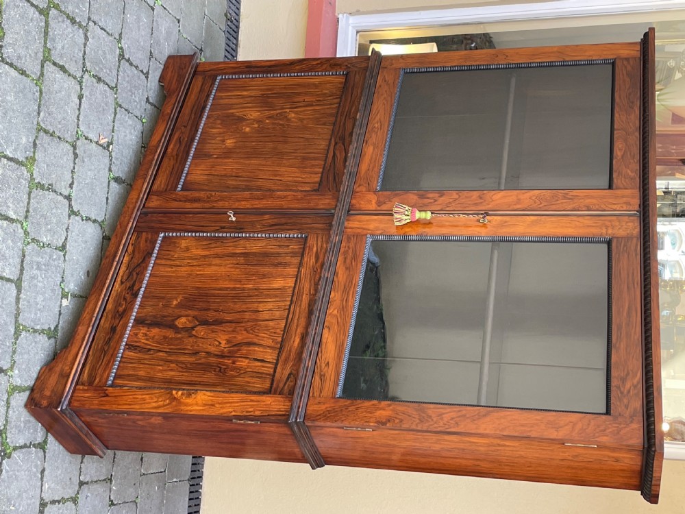 Nineteenth-century two-tier rosewood cabinet with upper glazed double doors and lower solid panel doors framed by beaded trim. View II