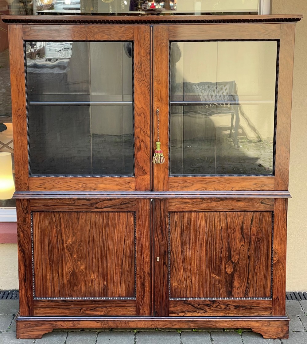 Nineteenth-century two-tier rosewood cabinet with upper glazed double doors and lower solid panel doors framed by beaded trim. View III