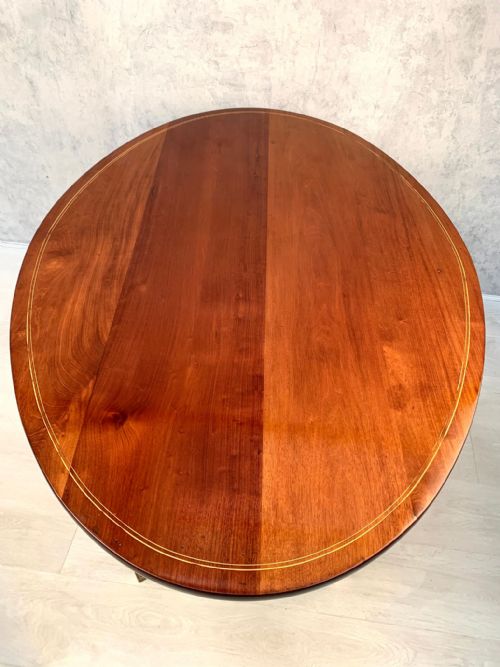 BEAUTIFUL 19TH CENTURY ANTIQUE BIEDERMEIER CENTER TABLE - ADDITIONAL PHOTO 11
