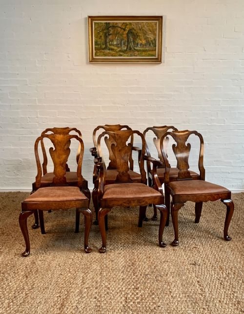 ELEGANT SET OF 6 QUEEN ANNE STYLE BURR WALNUT DINING CHAIRS NEWLY UPHOLSTERED