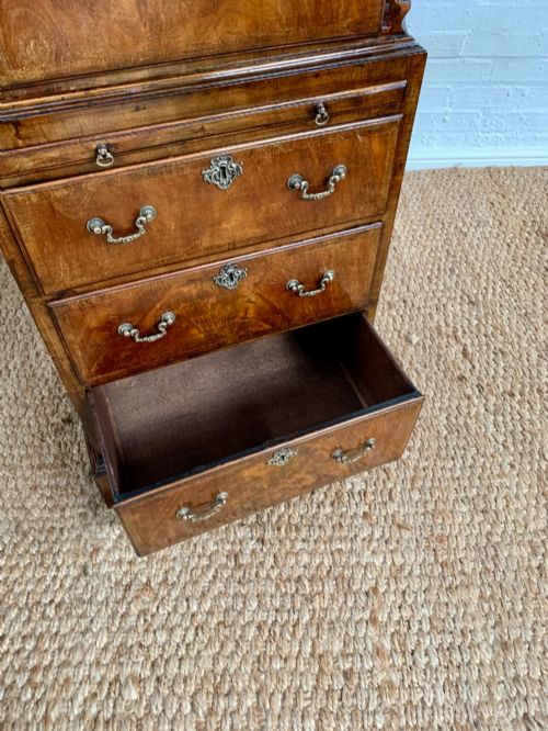 fig 5. A tall 19th-century George III style burr walnut chest of drawers featuring decorative brass handles, keyhole escutcheons, carved side friezes, and bracket feet.