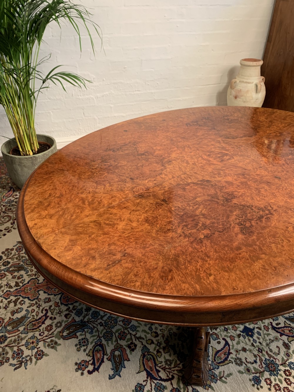 A Victorian oval low coffee table made from polished burr walnut featuring an intricately carved quadruped scroll pedestal base. View II