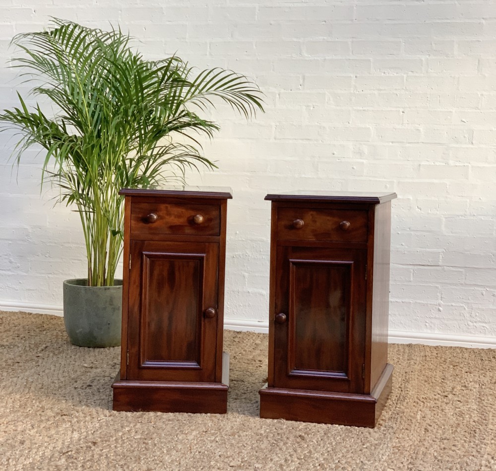 A pair of slim antique mahogany bedside cabinets featuring single top drawers, panelled cupboard doors, turned wooden knobs, and plinth bases.