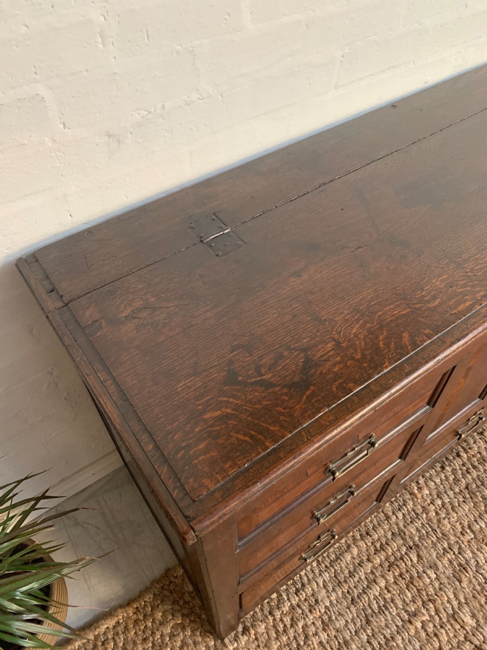 A dark oak mule chest featuring a hinged top, raised arched panels, multiple lower drawers, and brass batwing handles. View V