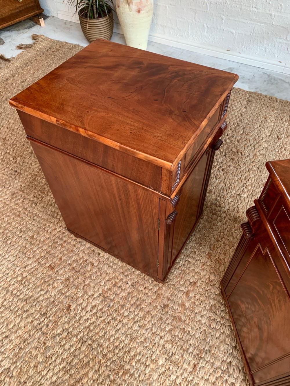 Regency Mahogany Bedside Cabinet View IX