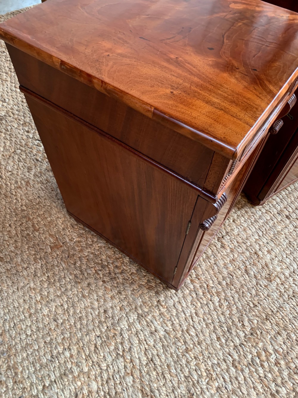 Regency Mahogany Bedside Cabinet View XII