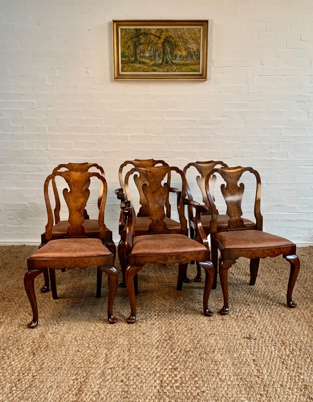 Set of six Queen Anne style burr walnut dining chairs with vasiform splat backs, padded brown fabric seats, and cabriole legs.