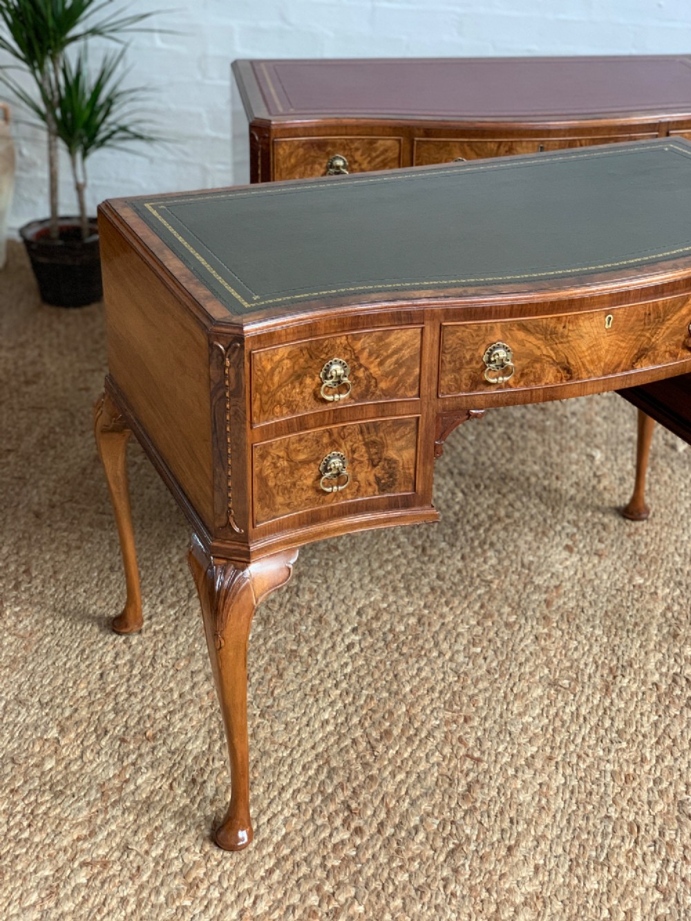 An early 20th-century burr walnut writing desk featuring an inset leather top, kneehole drawer arrangement, brass drop handles, and cabriole legs. View IV