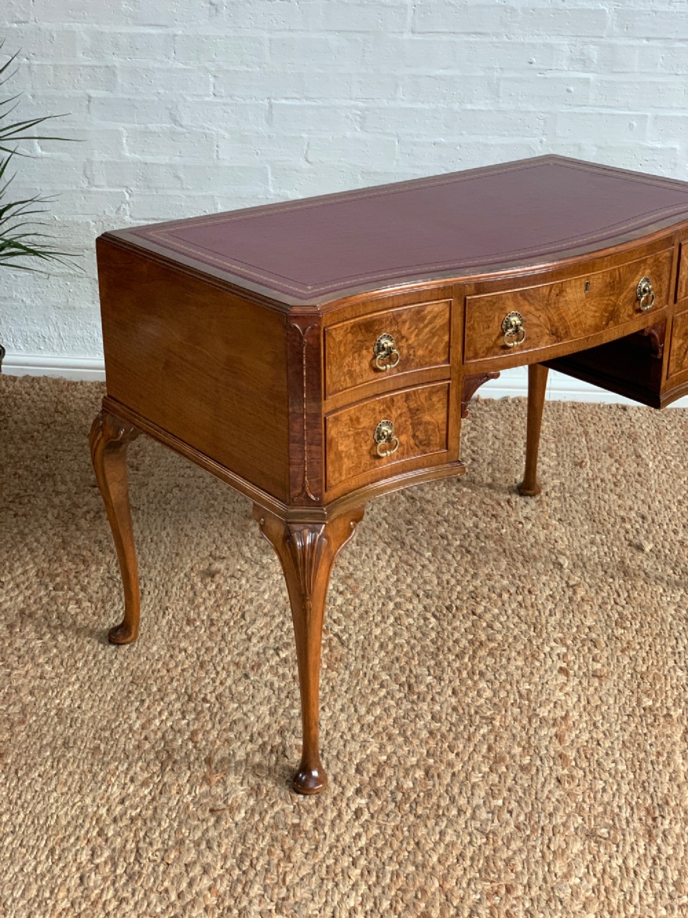 An early 20th-century burr walnut writing desk featuring five drawers with brass handles, carved cabriole legs, and a fitted kneehole. View II