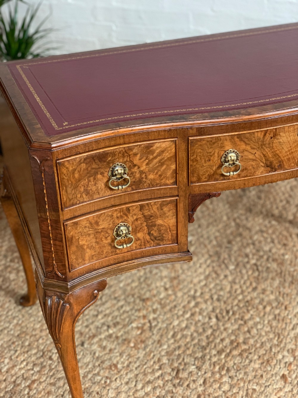 An early 20th-century burr walnut writing desk featuring five drawers with brass handles, carved cabriole legs, and a fitted kneehole. View V