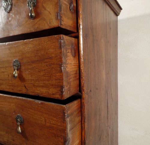 AN ANTIQUE WILLIAM MARY ELM CHEST OF DRAWERS COUNTY HONEST DOVETAIL BEDROOM - ADDITIONAL PHOTO 2