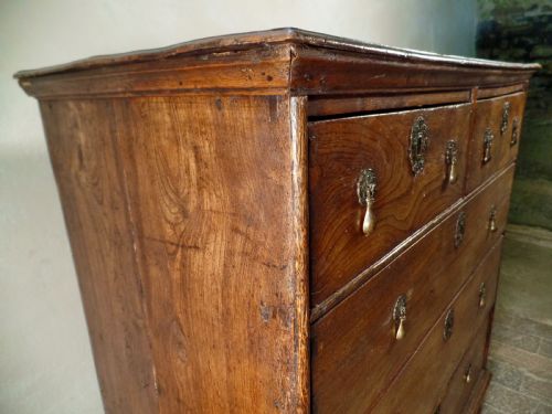 AN ANTIQUE WILLIAM MARY ELM CHEST OF DRAWERS COUNTY HONEST DOVETAIL BEDROOM - ADDITIONAL PHOTO 7