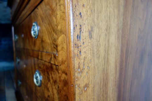 A 19TH CENTURY WALNUT FRENCH LOUIS PHILIPPE COMMODE CHEST OF DRAWERS - ADDITIONAL PHOTO 6